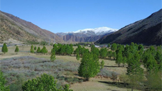 川藏線上的風景 西藏左貢初夏如畫