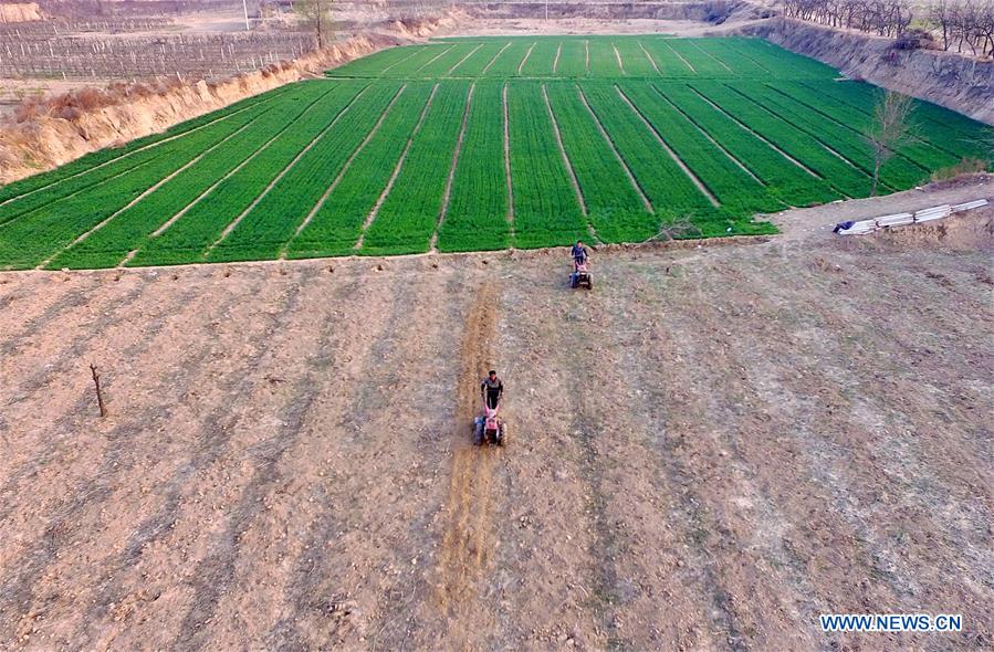 CHINA-SPRING FARMING (CN)