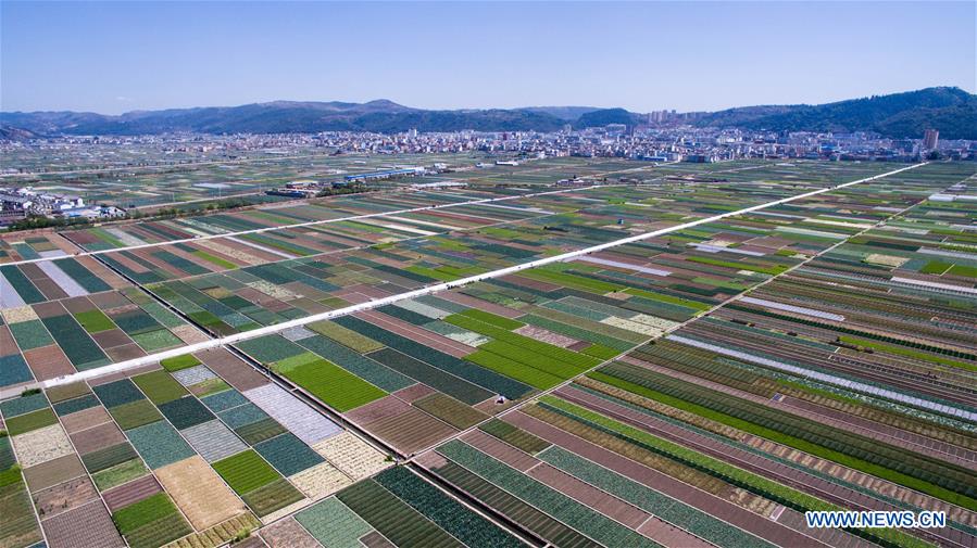 CHINA-YUNNAN-FARMLAND-SCENERY (CN)