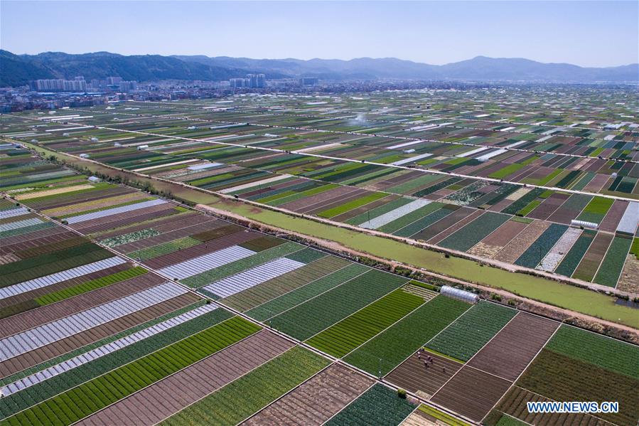 CHINA-YUNNAN-FARMLAND-SCENERY (CN)