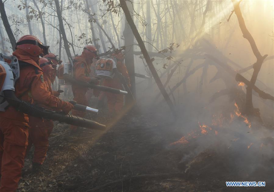#CHINA-INNER MONGOLIA-CROSS-BORDER FOREST FIRE (CN) 