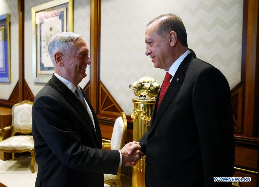 TURKEY-ANKARA-PRESIDENT-U.S.-DEFENSE SECRETARY-MEETING