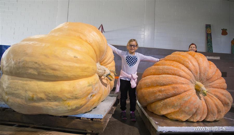 CANADA-BRUCE-GIANT PUMPKIN COMPETITION