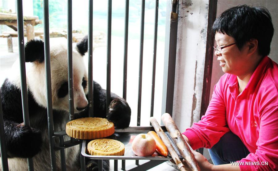 #CHINA-MID-AUTUMN FESTIVAL-CELEBRATION-GIANT PANDA (CN)