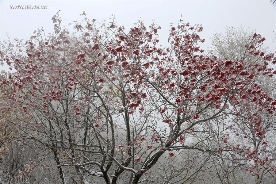 #CHINA-BEIJING-SNOW(CN)
