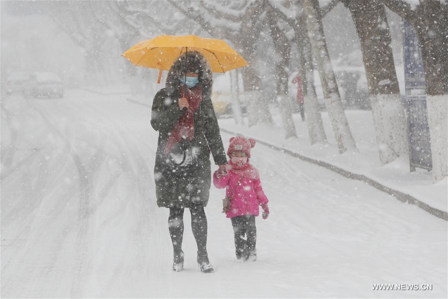 #CHINA-SHANDONG-YANTAI-SNOW (CN)