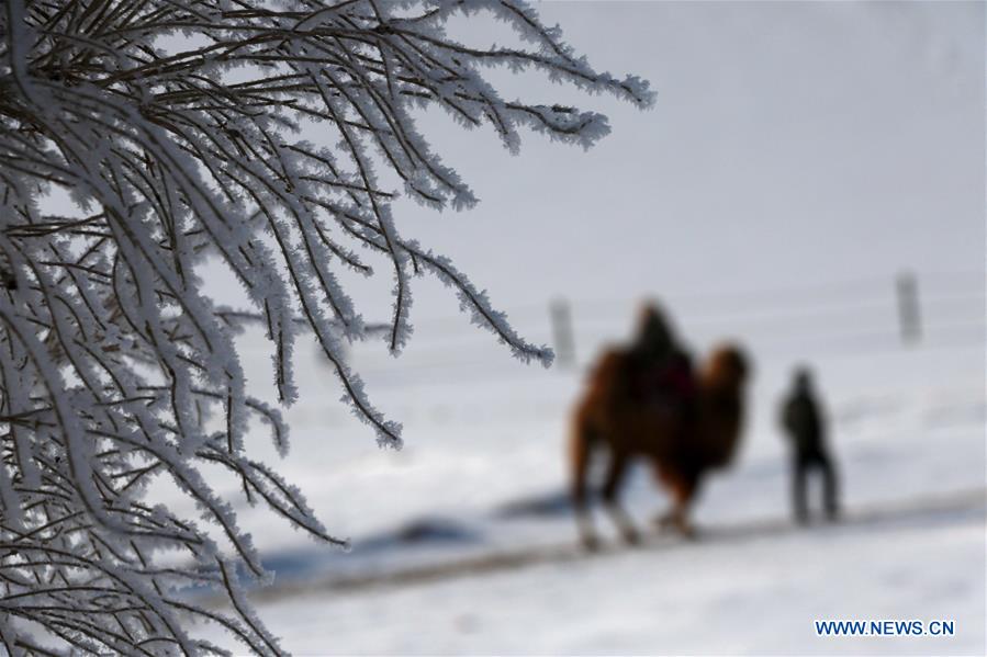 Visitors ride camels in the Crescent Spring and Singing Sand Dune scenic site of Dunhuang, northwest China's Gansu Province on Jan. 11, 2017. A recent snow made the scenic site decorated with pure white. (Xinhua/Zhang Xiaoliang) 
