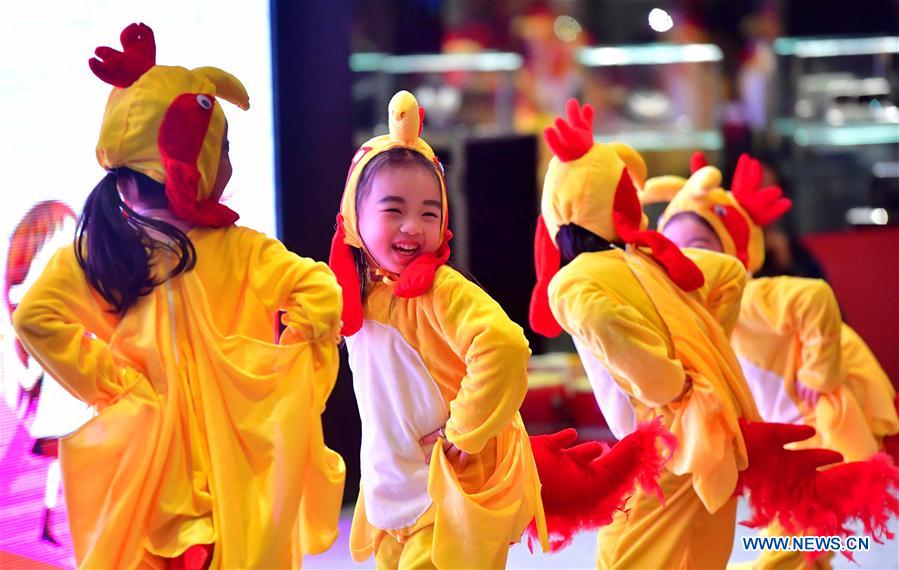 CHINA-NANNING-YEAR OF ROOSTER-CELEBRATION (CN)