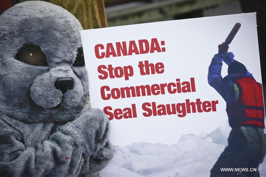 CANADA-VANCOUVER-SEAL MEAT-PROTEST
