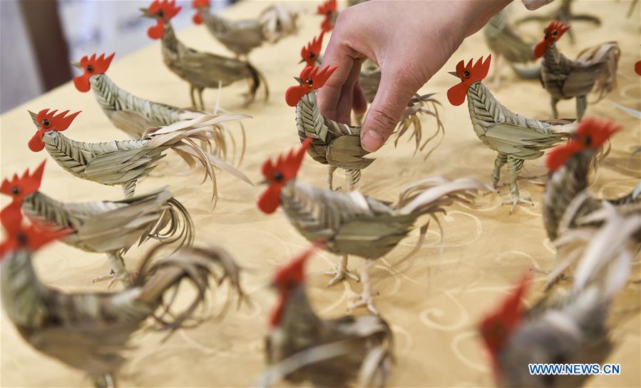 Folk artist Jia Shujuan shows palm-plaited roosters in Luoyang, central China's Henan Province, Jan. 15, 2017. Jia Shujuan made nearly 100 palm-plaited roosters in a month for the upcoming Chinese traditional lunar New Year of Rooster, which starts from Jan. 28 this year. (Xinhua/Huang Zhengwei) 