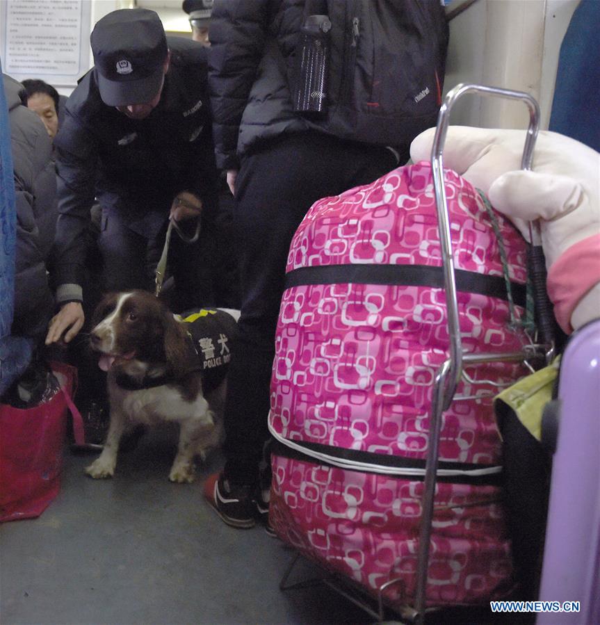 Trainer Yang Naiwen and police dog Tiehu check passengers' luggage at the Hefei Railway Station in Hefei, capital of east China's Anhui Province, Jan. 24, 2017. Many police dogs are on duty during China's Spring Festival travel rush between Jan. 13 and Feb. 21. This is the 7th time for Tiehu, an 8-year-old sniffer dog, to serve the travel rush around the Spring Festival, which falls on Jan. 28 this year. (Xinhua/Guo Chen) 