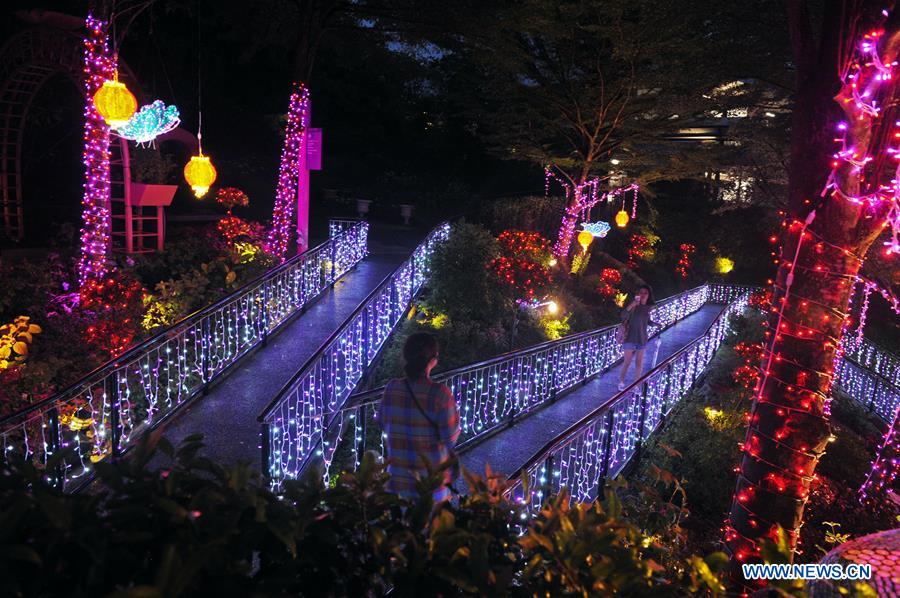 SINGAPORE-CHINESE LUNAR NEW YEAR-LIGHT INSTALLATIONS