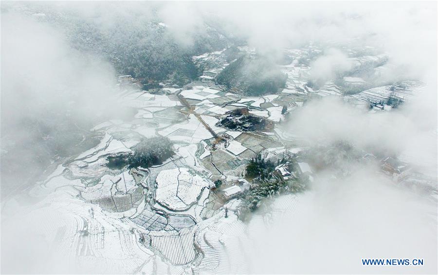 #CHINA-HUBEI-XUAN'EN-SNOW-TEA GARDEN(CN)