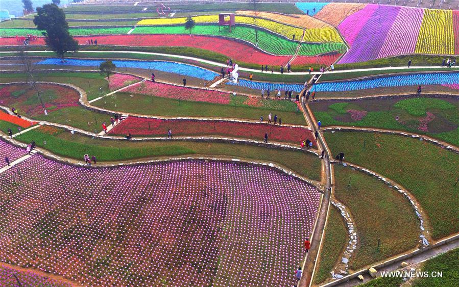 Aerial photo taken on Feb. 25, 2017 shows the scenery of tulip fields in Xinyu, east China's Jiangxi Province. 