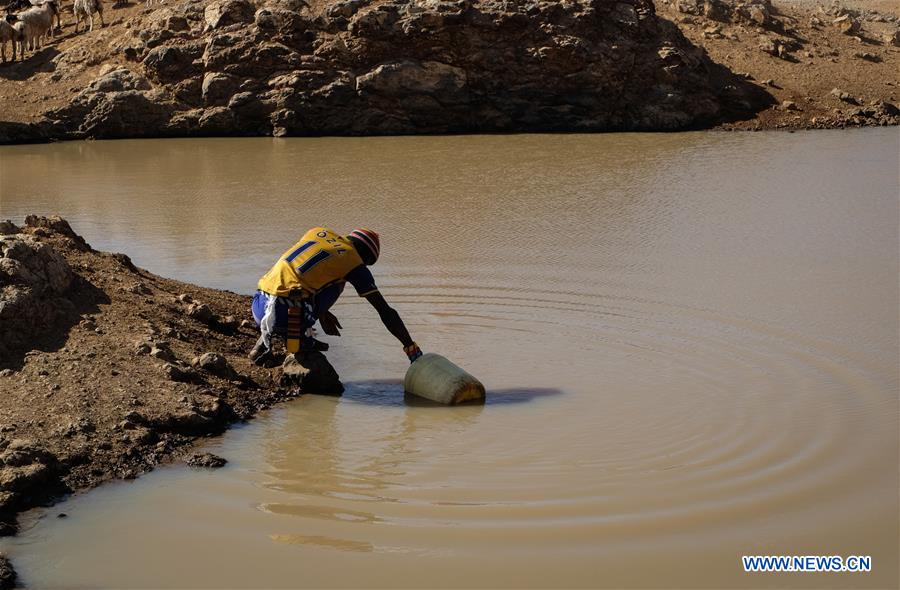 A man collects water at a pond in Laikipia County, Kenya, on March 1, 2017. The UN Food and Agriculture Organization (FAO) has warned that Kenya was facing a severe drought and with it a rise in food insecurity. Current estimates show over 2 million people are food insecure. 