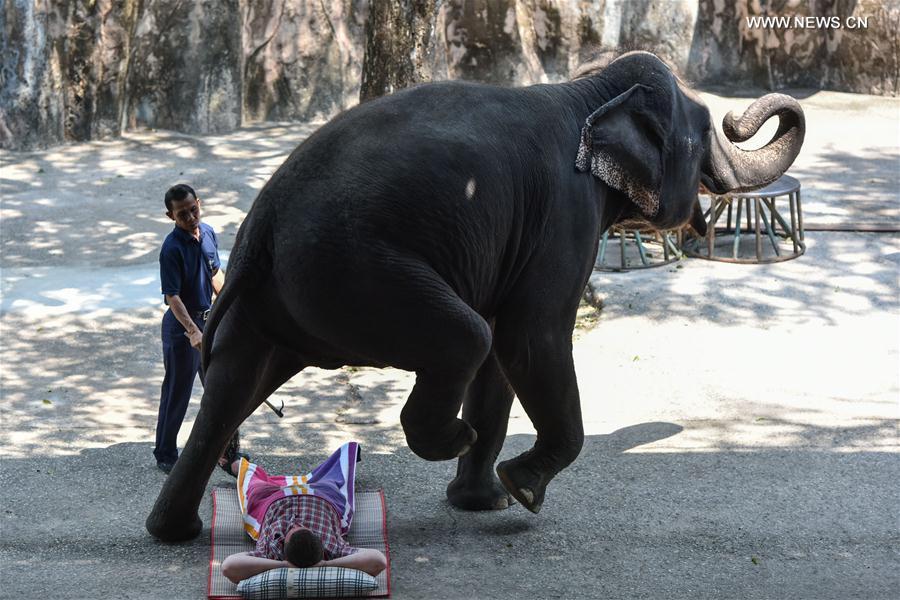 An Asian elephant walks across a tourist during an elephant show at a zoo in central Thailand's Chonburi Province, March 1, 2017.