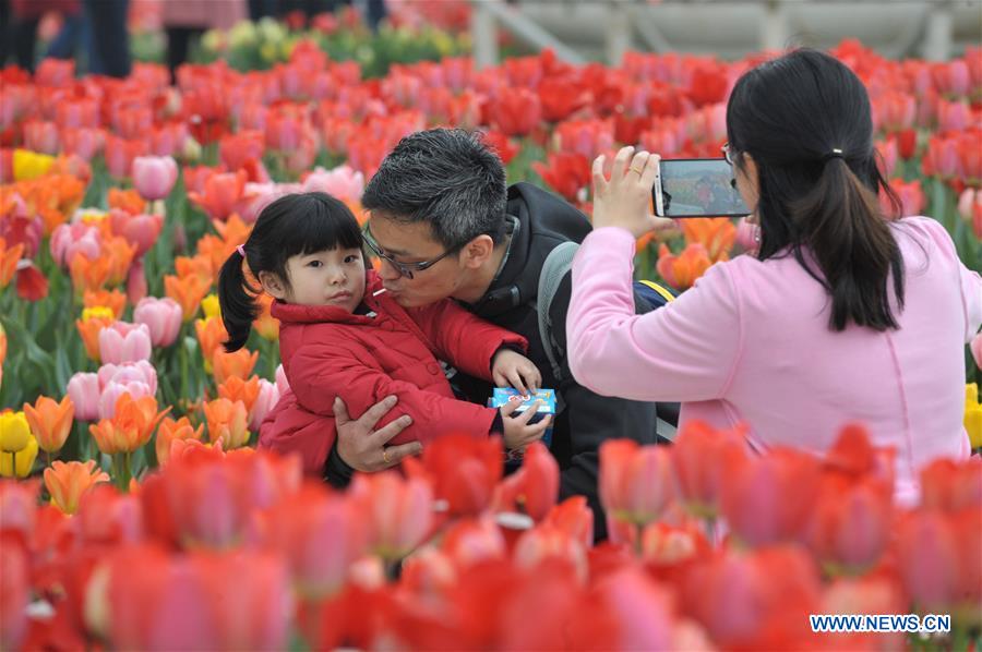 Tourists pose for pictures with the tulip blossoms at Hunan Forest Botanical Garden in Changsha City of central China's Hunan Province, March 11, 2017. 
