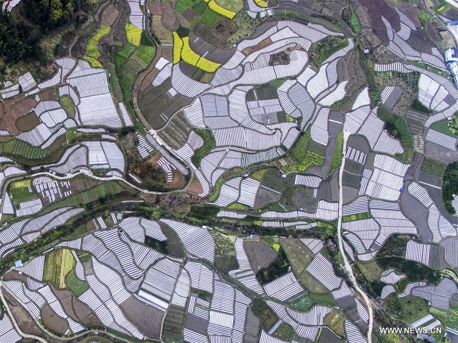 Photo taken on March 14, 2017 shows the aerial view of the farmland in Yuqing County of Zunyi City, southwest China's Guizhou Province. (Xinhua/He Chunyu)