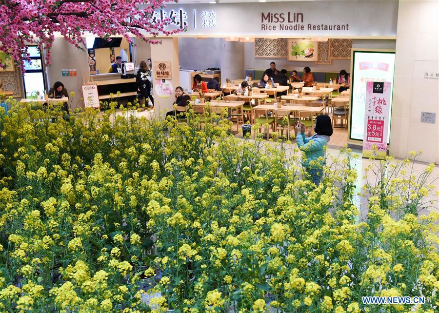 Citizens shop at a mall decorated with rapeseed flowers in Chongqing, southwest China, March 17, 2017. A local mall brought spring rural sceneries indoor to attract consumers. (Xinhua/Liu Chan) 