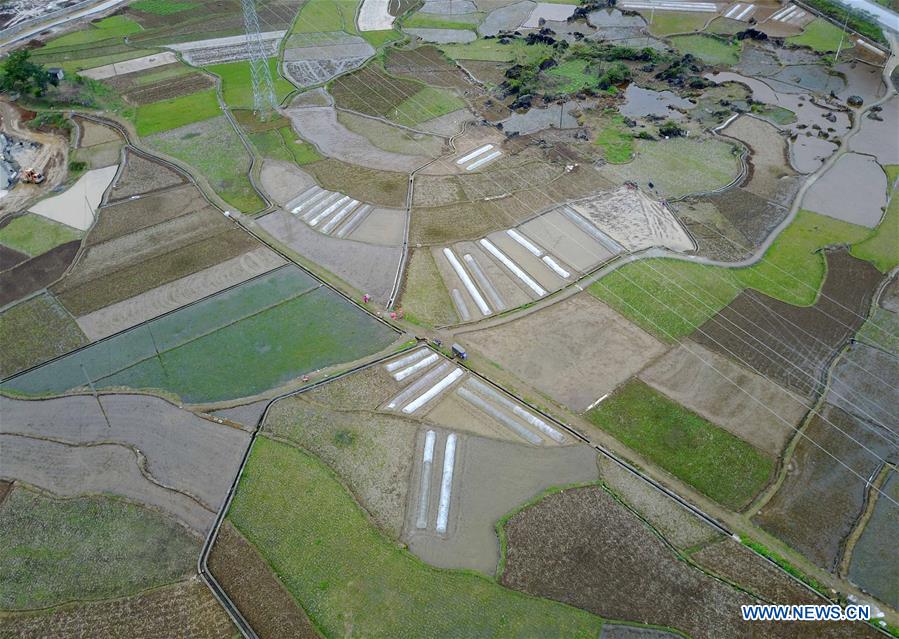 Aerial photo taken on March 17, 2017 shows farmland at Guling Township under Mashan County, southwest China's Guangxi Zhuang Autonomous Region. Villagers are busy spring ploughing in Guling. (Xinhua/Zhou Hua)
