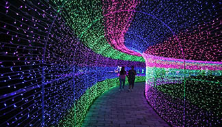 LED light festival kicks off in N China
