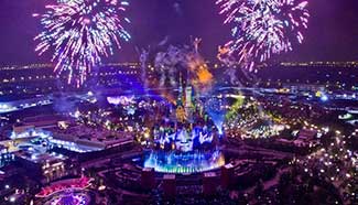 Firework show seen at Shanghai Disney Resort