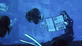 World Ocean Day celebrated in S.E.A. Aquarium in Singapore