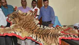 Piece of tiger skin recovered from DFO in Inida