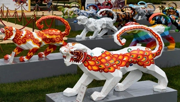 Painted tiger sculptures displayed in SW China's Kunming