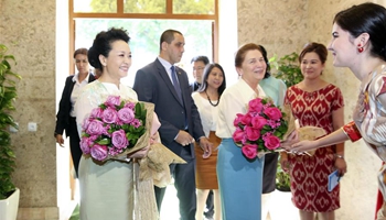 Wife of Chinese president visits Confucious Institute in Tashkent, Uzbekistan