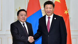 Chinese president meets with Mongolian counterpart in Tashkent