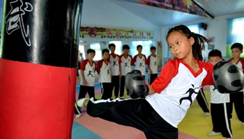 Children learn martial arts at training center in C China's county