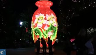 Chinese lighting displays shine at Silicon Valley