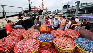 Crabs harvested in East China Sea after end of fishing moratorium