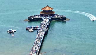 Landmark Zhanqiao Pier closed earlier due to algae invasion