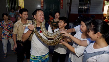Villagers parade during snake worship ceremony in SE China's town