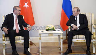 Erdogan meets Putin in first visit following failed coup