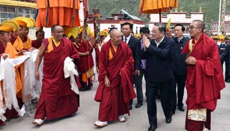 Top political advisor warns of foreign influence on Tibetan Buddhism