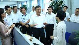 Chinese vice premier inspects China Food and Drug Administration