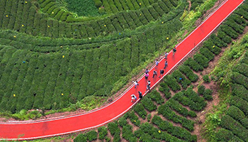 Tourists visit C China's tea garden on newly-paved path