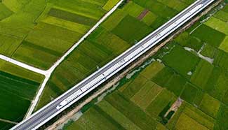 In pics: High-speed train driving past fields, S China