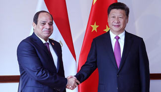 Chinese, Egyptian presidents meet ahead of G20 summit