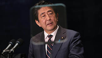 Japanese PM attends press conference after G20 summit
