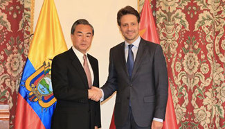 Chinese FM meets Ecuadorian counterpart on boosting strategic cooperation
