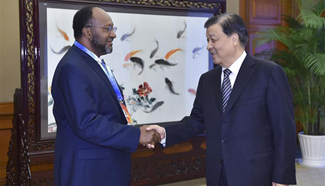 Senior CPC official meets foreign guests at economic governance seminar