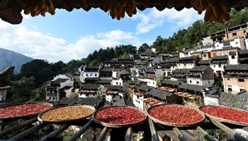 Scenery of air-dried hot pepper and crops in E China's Wuyuan County