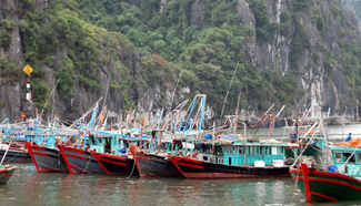 "Super storm" Sarika makes landfall on Vietnam's mainland