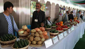 Afghan agriculture products exhibition kicks off in Kabul