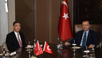 Turkish president meets visiting Chinese vice premier