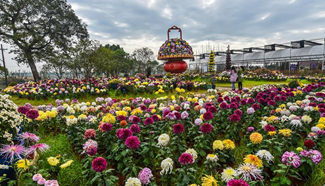 Chrysanthemum exhibition held in E China's Zhejiang